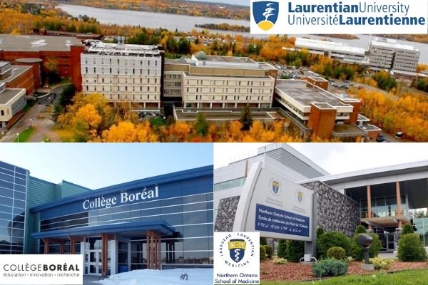 Education in Sudbury